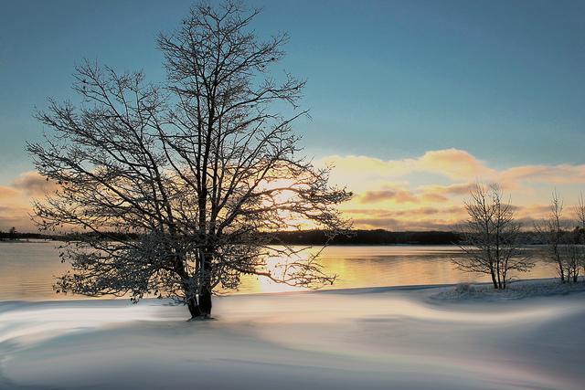 The Glen Huron Inn Duntroon ภายนอก รูปภาพ