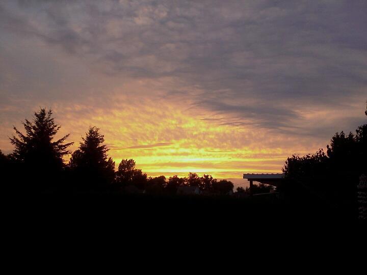 The Glen Huron Inn Duntroon ภายนอก รูปภาพ